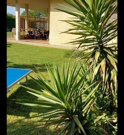 Green Garden Viareggio Bagian luar foto
