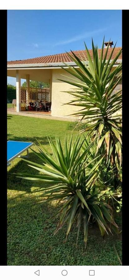 Green Garden Viareggio Bagian luar foto